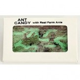 Ant Farm Apple Candy