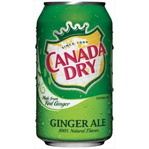 Canada Dry Ginger Ale-355ml  Can | 
