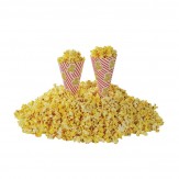 Popcorn Cones x50